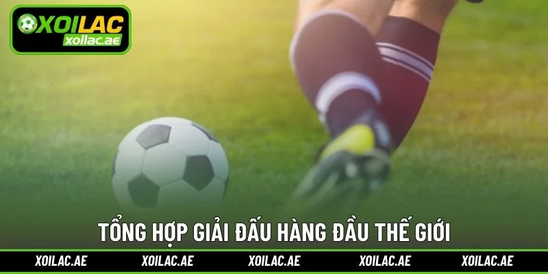 Tổng hợp giải đấu hàng đầu thế giới
