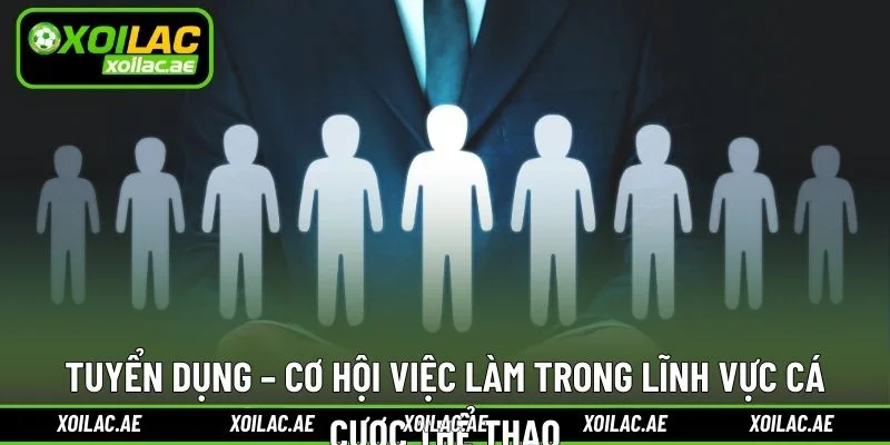 Tuyển dụng vận hành cá cược thể thao